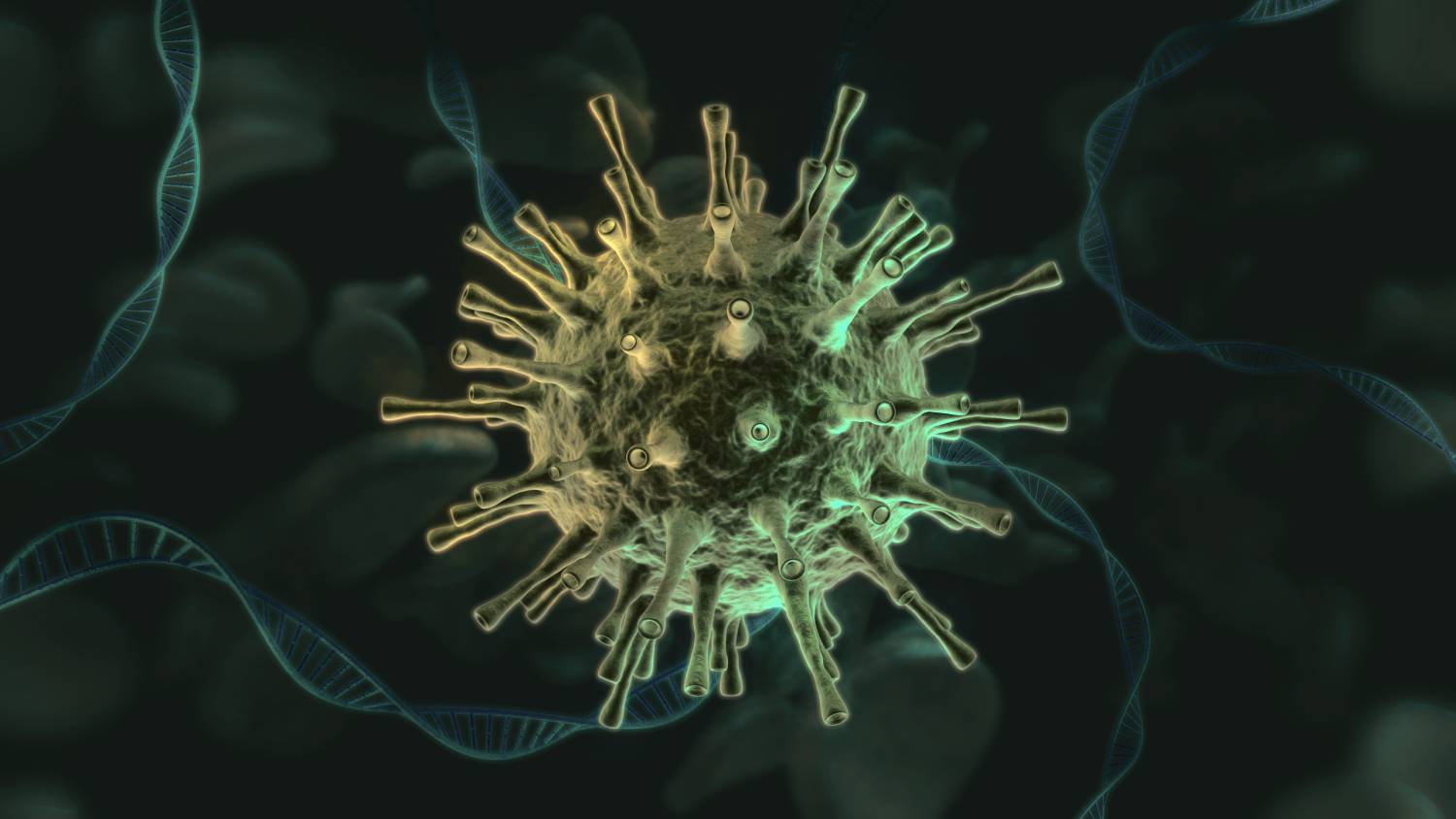 Cross-Variant Immunity From COVID-19 Vaccines and Prior Infection
