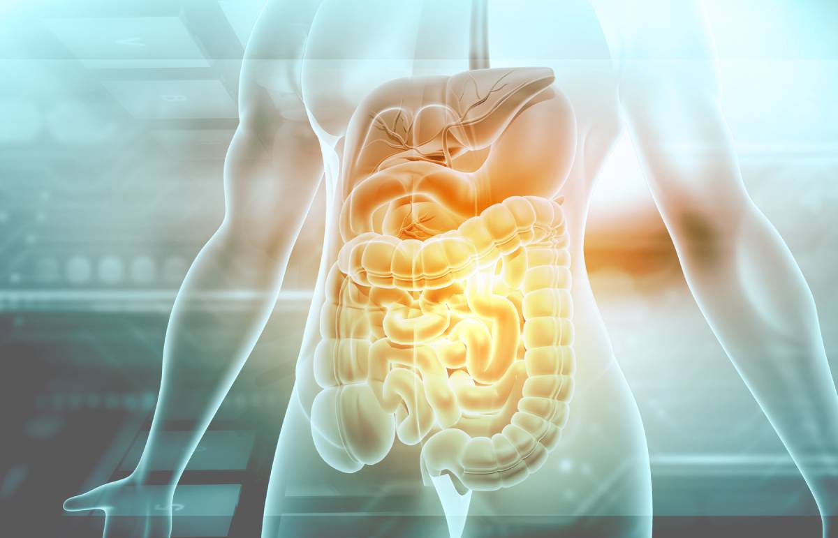 What is End Organ Injury?