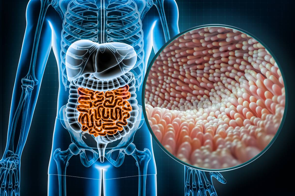 Gut Microbiome and Anesthesia 