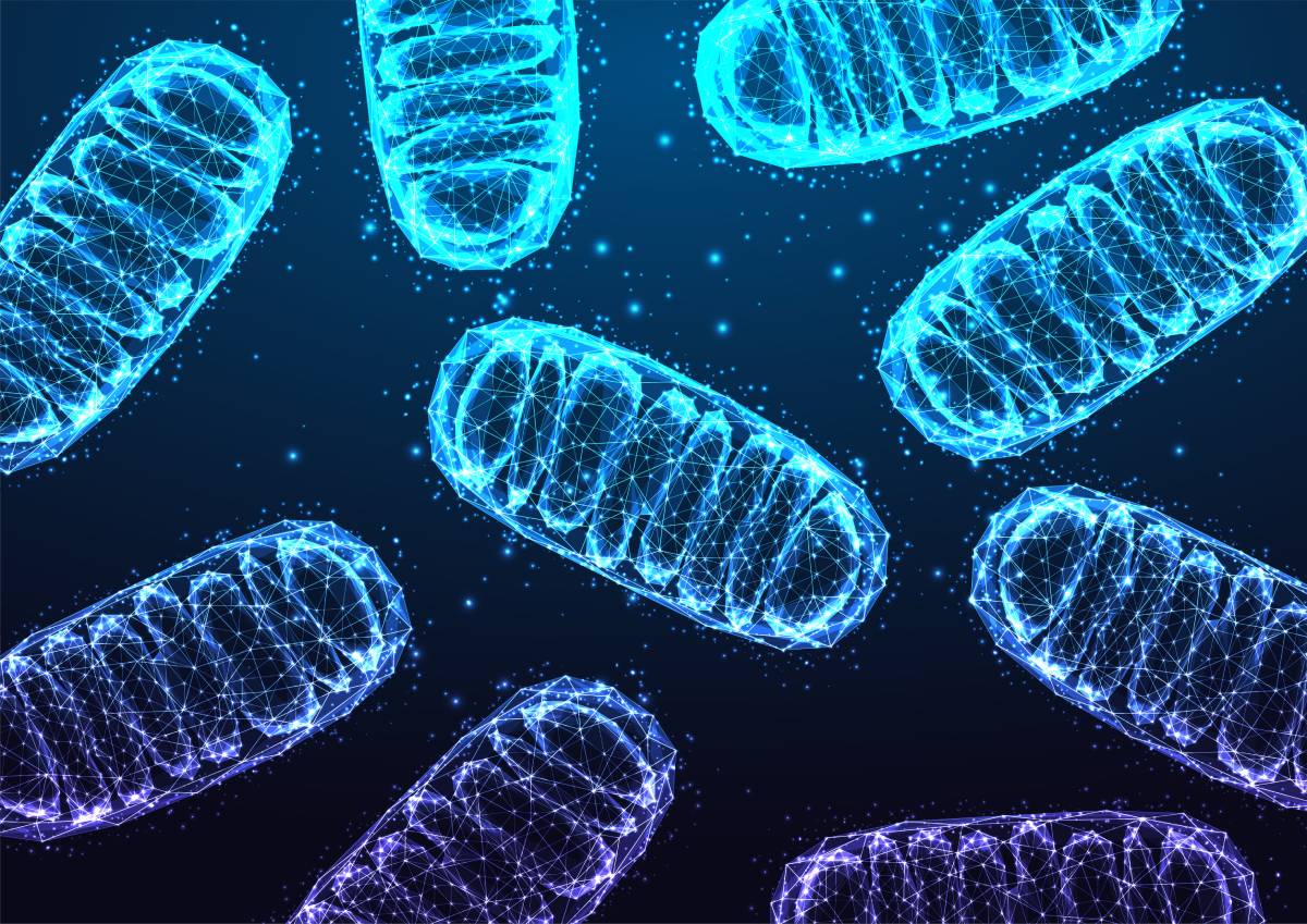 Mitochondrial Disorders and Anesthesia