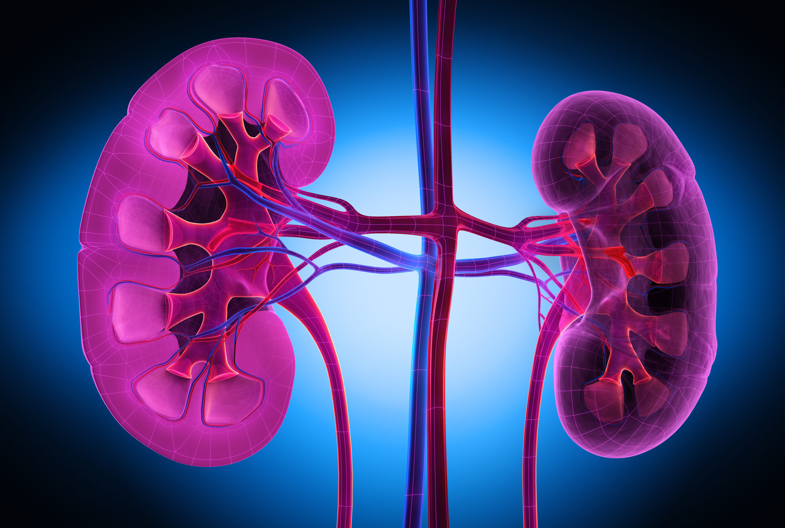 Safety of Pain Medication for Patients with Kidney Problems